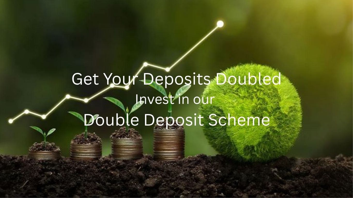 Your paragraph text (4)